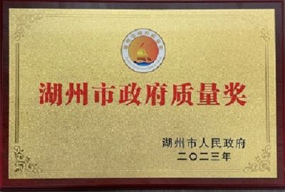质量之光闪耀全市，引领行业新标杆|湖州太平微特电机有限公司喜获2023年湖州市政府质量奖