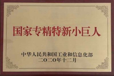 国家专精特新小巨人