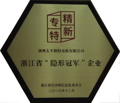 浙江省隐形冠军